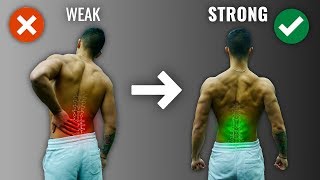 How do Muscles Contract Sliding Filament Theory  Corporis [upl. by Winnah]