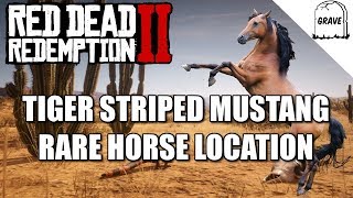 Rare Tiger Striped Mustang Location Red Dead Redemption 2 Horse Guide [upl. by Fritts]