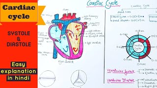 Cardiac cycle  Systole and Diastole  Easy explanation in hindi [upl. by Ahsened]