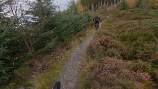 LAGGAN WOLFTRAX  RED TRAILS  MTB [upl. by Abernathy]