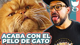 CÓMO QUITAR EL PELO DE GATO  La Gatería TV [upl. by Anaicul]