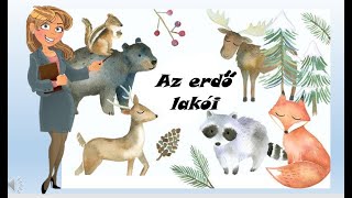 Az erdő lakói télen [upl. by Maker642]