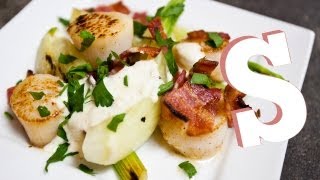 SIMPLE SCALLOPS RECIPE  SORTED [upl. by Octavius667]