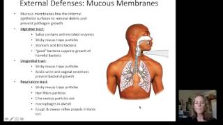 Lecture 19 Immune System [upl. by Damha455]