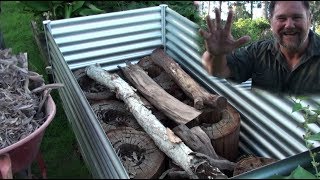 How To Hügelkultur AMAZING Grow Method For Raised Beds Vegetable Gardens  Organic amp Cheap [upl. by Wiedmann]