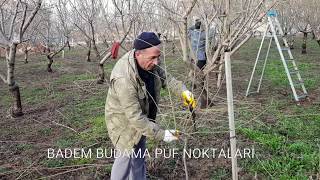 BADEM BUDAMADAKİ PÜF NOKTALAR [upl. by Danais932]