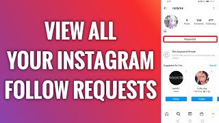 How To View All Your Instagram Follow Requests [upl. by Branham]