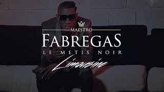 Fabregas Le Metis Noir présente Ibrator  Limousine [upl. by Ailaza]