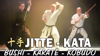 KATA JITTE  Katana  Karate  Kobudo [upl. by Surtemed]