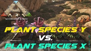 Plant Species Y vs Plant Species X  ARK Scorched Earth [upl. by Eniarral]