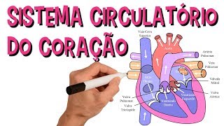 ✅ SISTEMA CARDIOVASCULAR  SISTEMA CIRCULATÓRIO DO CORAÇÃO [upl. by Rambert]