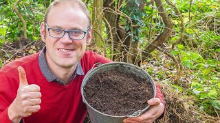 Supercharge Your Compost Heap [upl. by Nillad52]