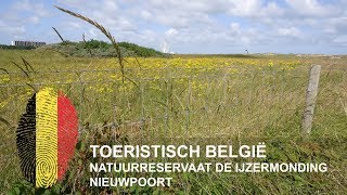 België  Natuurreservaat De IJzermonding  Nieuwpoort [upl. by Dun]