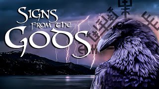 Norse Paganism  How to Interpret Signs from the Gods [upl. by Pisarik]