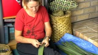 How to prepare harakeke NZ FlaxPhormium part 1 [upl. by Atlante]