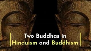 Two Buddhas in Hinduism and Buddhism [upl. by Asiilanna]