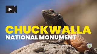 Chuckwalla National Monument [upl. by Hertzfeld34]