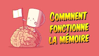 Psychologie  Comment fonctionne la mémoire [upl. by Enaillil]