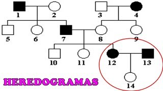 HEREDOGRAMAS  Exercícios e Dicas [upl. by Aehsila352]