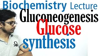 Gluconeogenesis pathway biochemistry [upl. by Zoha]