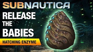 Making the Hatching Enzyme  SUBNAUTICA [upl. by Aromas]