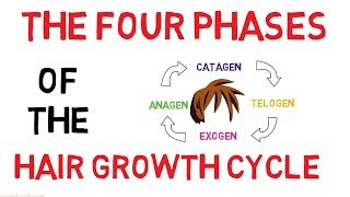 Understanding The Hair Growth Cycle  Adam Explains [upl. by Anallese]