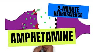 2Minute Neuroscience Amphetamine [upl. by Animrac906]