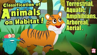 HABITAT OF ANIMALS  Classification Of Animals On Habitat  The Dr Binocs Show  Peekaboo Kidz [upl. by Labana703]