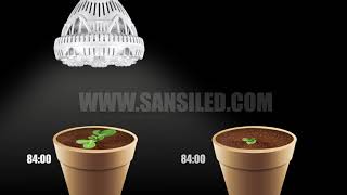 36W SANSI LED Plant Grow Light Experiment [upl. by Nerrak]