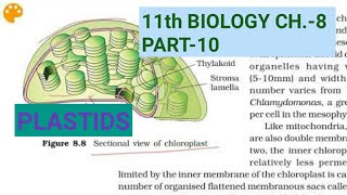 Class 11 Biology Ch8Part10PlastidsStudy with Farru [upl. by Nnyloj241]