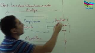 Informatique  chap1  Cours1 [upl. by Gnilyarg]