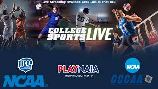 CulverStockton MO vs Park  NAIA Mens Volleyball [upl. by Eimiaj]