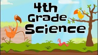 4th Grade Science Compilation [upl. by Ardnama]