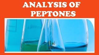 ANALYSIS OF PEPTONES BIOCHEMISTRY  INFO HUB [upl. by Kcinimod]