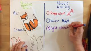 Biotic and Abiotic Factors  p67 [upl. by Zack]