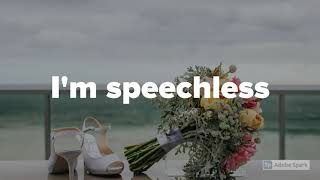 Dan  Shay  Speechless lyrics [upl. by Anauqat31]