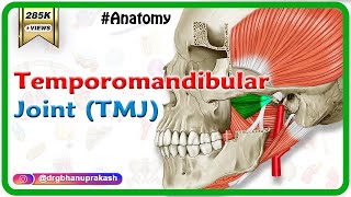 Anatomy of Temporomandibular joint  TMJ  Animation Gross Anatomy medical animations [upl. by Farro138]