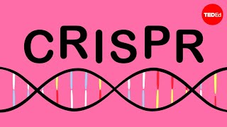 CRISPR Explained Gene Editing History Technology and Applications [upl. by Neerol537]