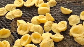 How to Make Orecchiette  Pasta Grannies [upl. by Einatsed980]