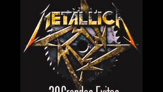 METALLICA 30 GRANDES EXITOS [upl. by Onitram]