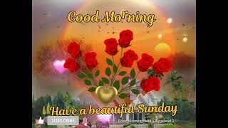 Happy Sunday ECard  Good Morning Happy Sunday  Happy Sunday Gifs  Happy Sunday Animated Card [upl. by Neelcaj]