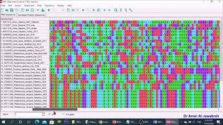 MEGA X How to construct a phylogenetic tree [upl. by Inaffit956]