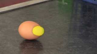 Egg Experiment to Demonstrate Inertia [upl. by Ynaoj]