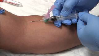 Phlebotomy Syringe Draw Procedure  Blood Collection RxTN [upl. by Ann-Marie]