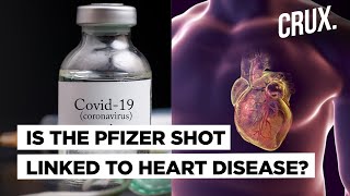 Is Side Effect of Pfizer COVID19 Vaccine Behind Rising Cases of Myocarditis in Israel [upl. by Nylakcaj]