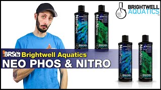 Struggling With Low Nitrates amp Phosphates in Your Reef Tank Brightwell NeoNitro amp NeoPhos Is Here [upl. by Marilla]