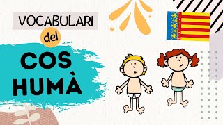 Vocabulari VALENCIÀ  El Cos Humà [upl. by Dorfman]