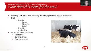 Udder Health on Lely Robots [upl. by Publia]