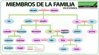 Miembros de la Familia  Family members in Spanish  Learn Spanish Vocabulary [upl. by Liartnod43]