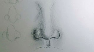 How to Draw a Nose [upl. by Derry]